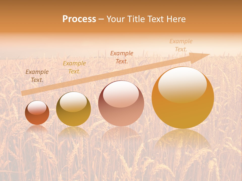 Group Field Farm PowerPoint Template
