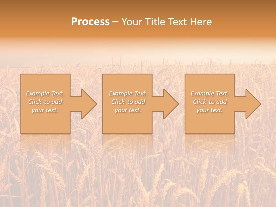 Group Field Farm PowerPoint Template