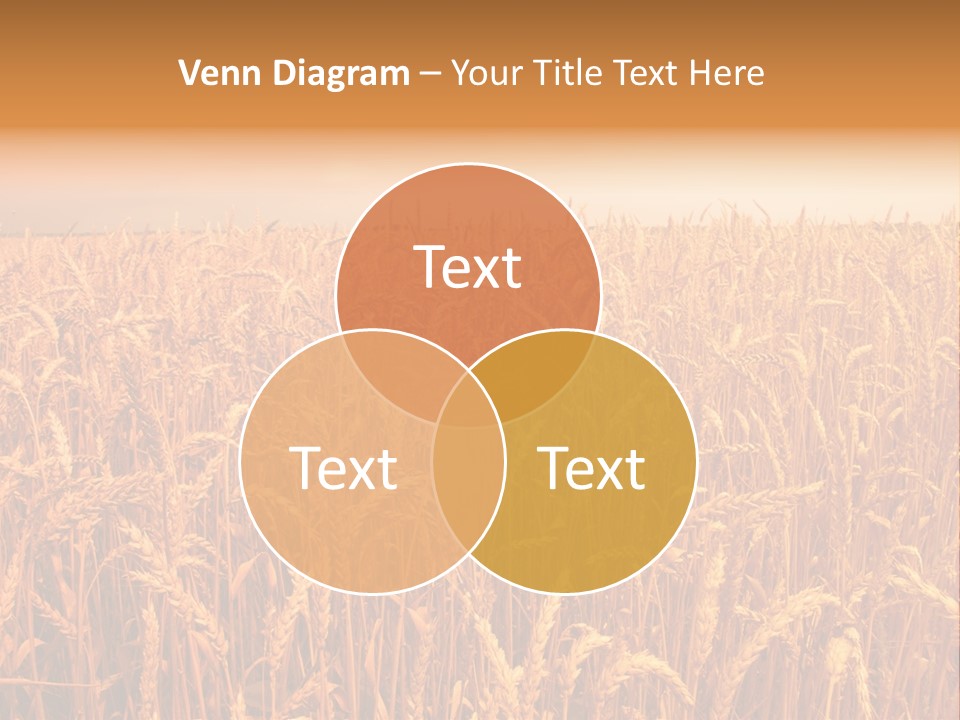 Group Field Farm PowerPoint Template