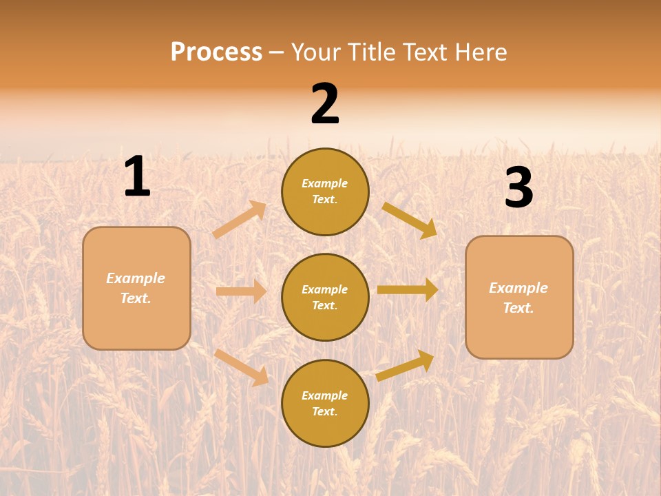 Group Field Farm PowerPoint Template