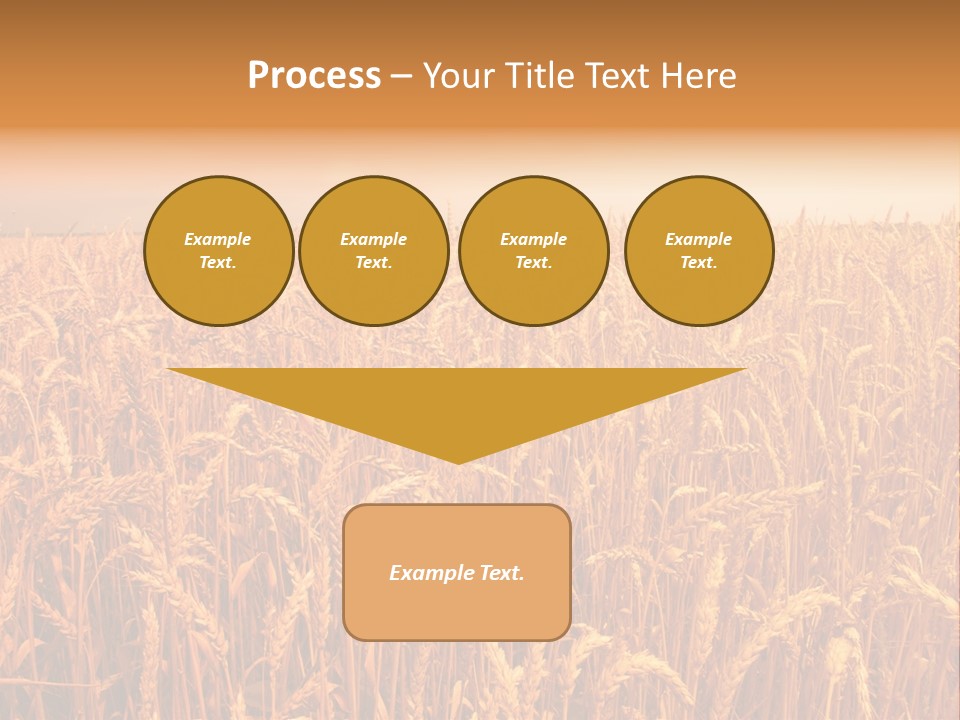 Group Field Farm PowerPoint Template