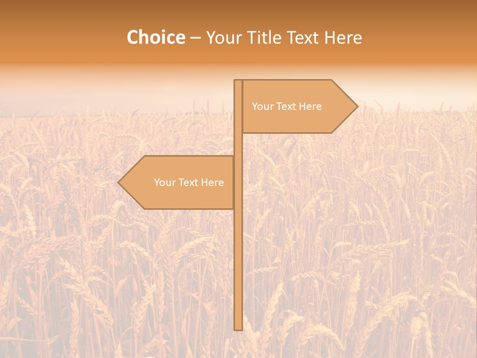 Group Field Farm PowerPoint Template