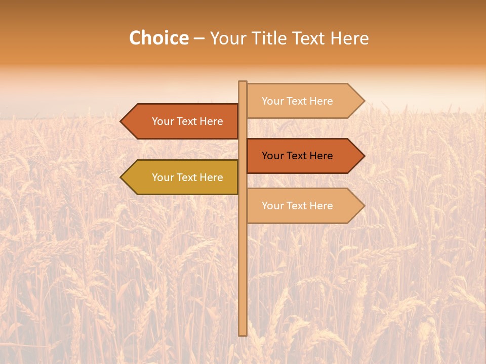 Group Field Farm PowerPoint Template
