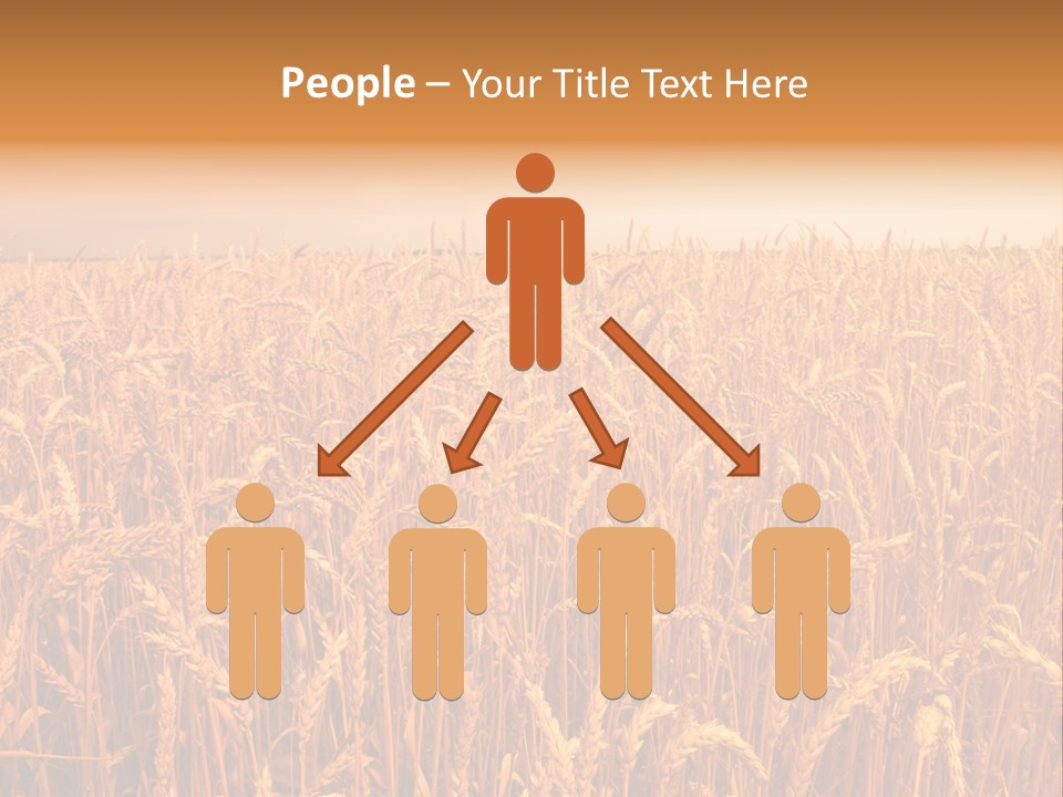 Group Field Farm PowerPoint Template