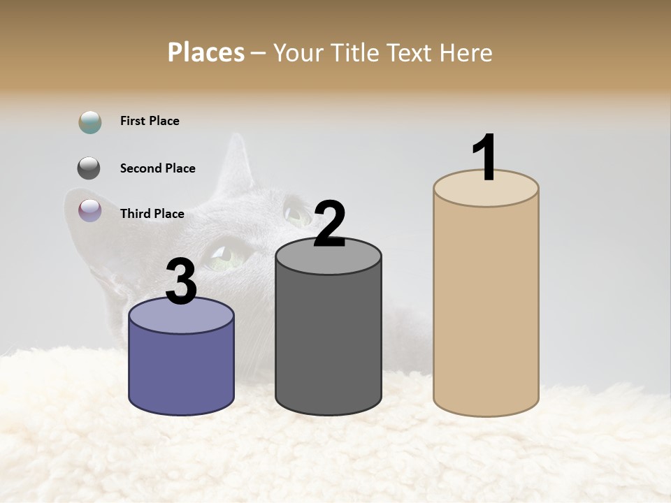 Cute Whiskers Lying PowerPoint Template