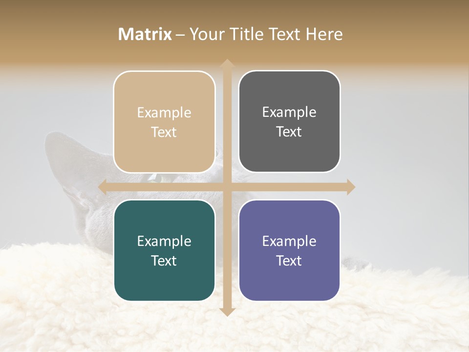 Cute Whiskers Lying PowerPoint Template