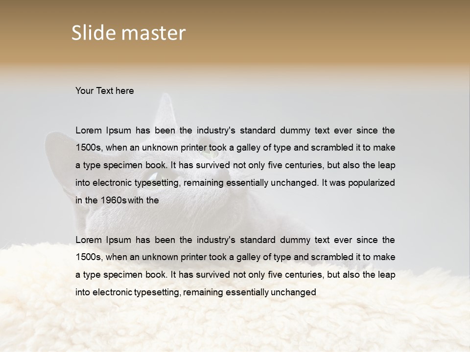 Cute Whiskers Lying PowerPoint Template