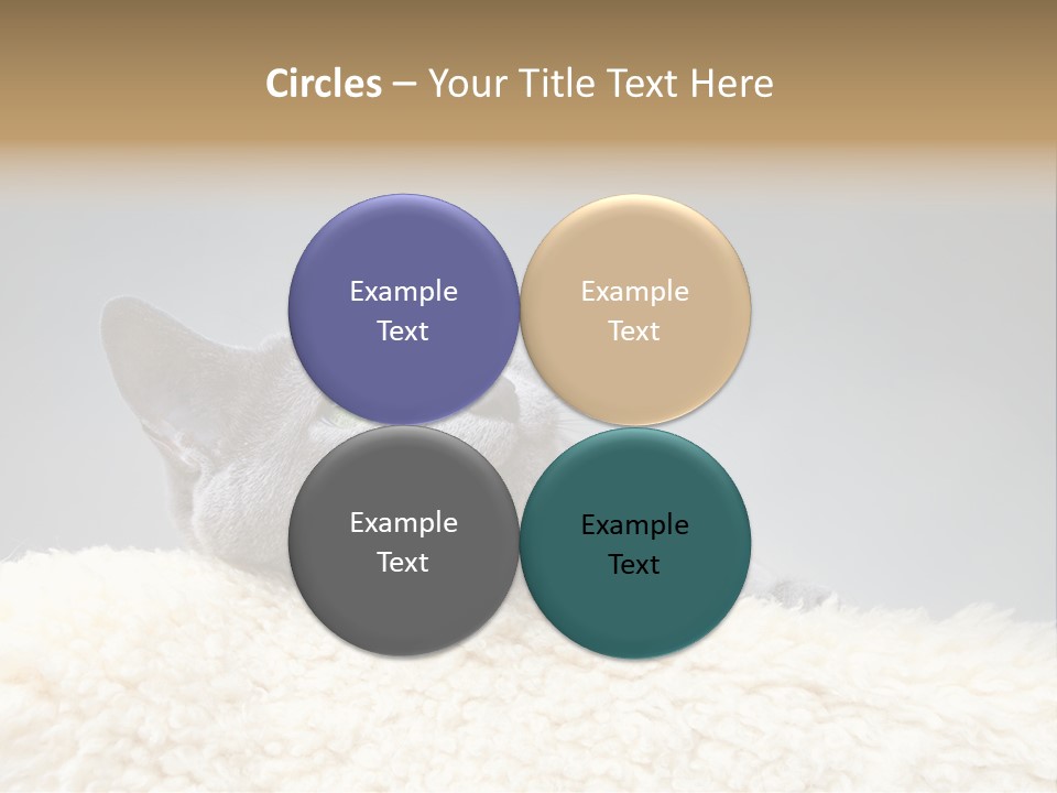 Cute Whiskers Lying PowerPoint Template