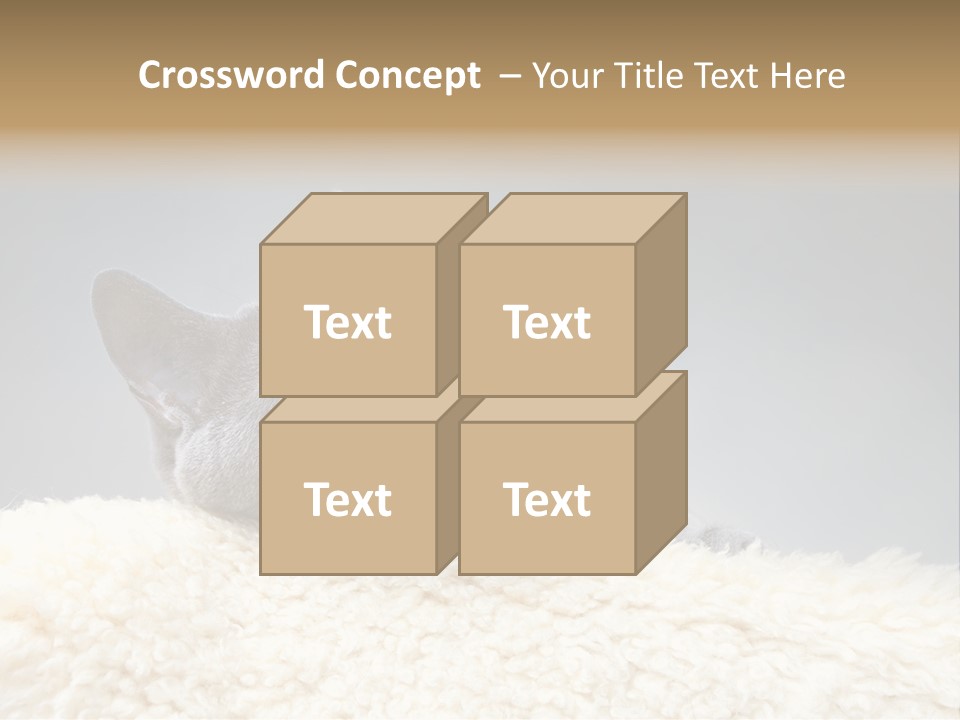 Cute Whiskers Lying PowerPoint Template