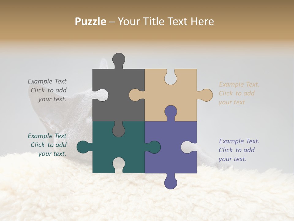 Cute Whiskers Lying PowerPoint Template