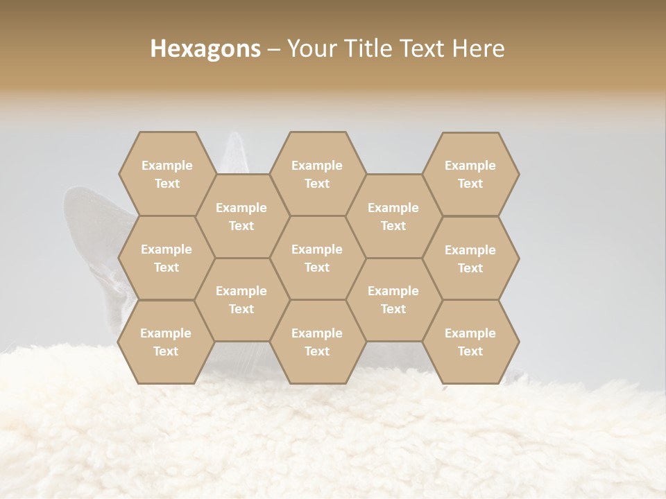 Cute Whiskers Lying PowerPoint Template