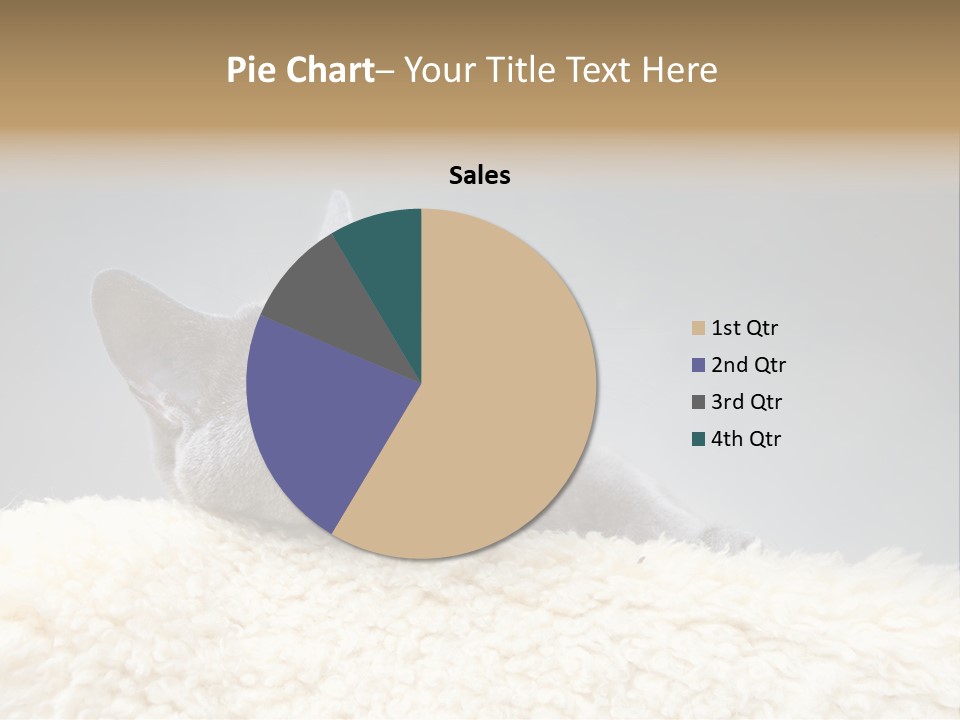 Cute Whiskers Lying PowerPoint Template