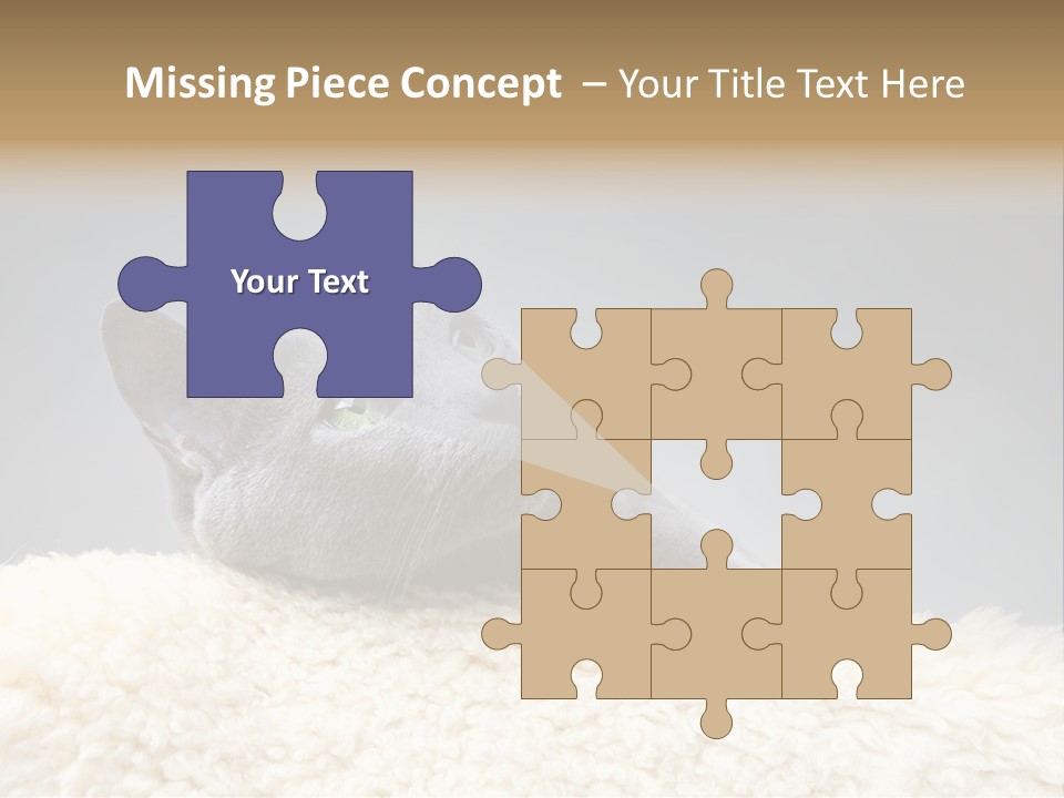 Cute Whiskers Lying PowerPoint Template