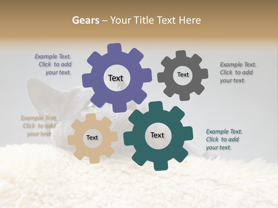 Cute Whiskers Lying PowerPoint Template