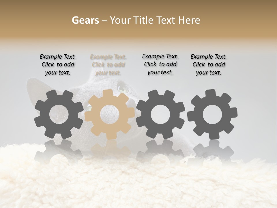 Cute Whiskers Lying PowerPoint Template