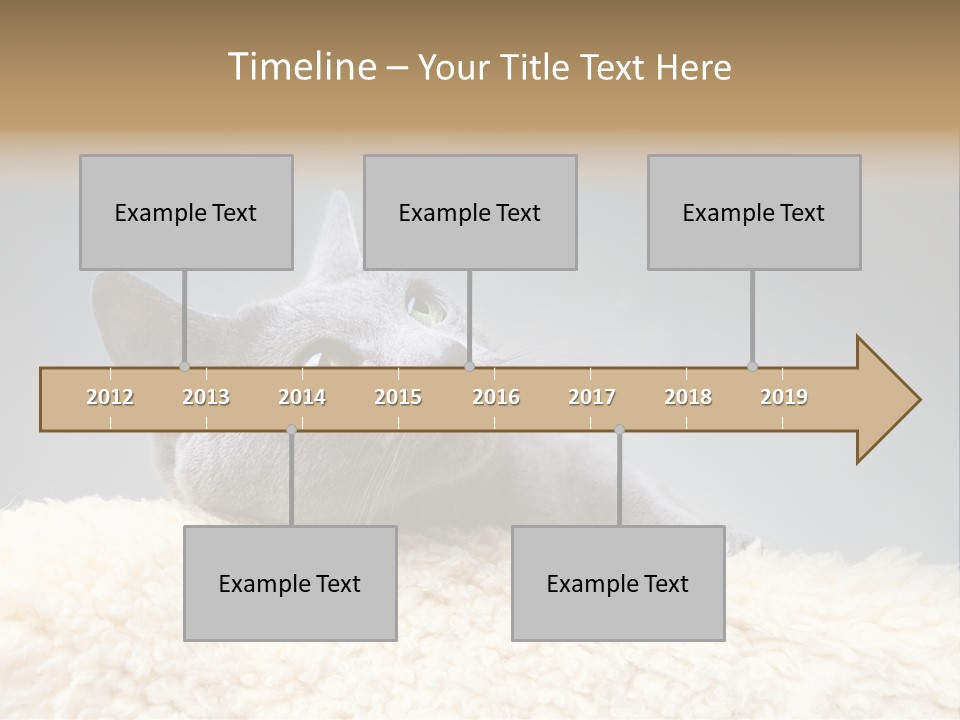 Cute Whiskers Lying PowerPoint Template