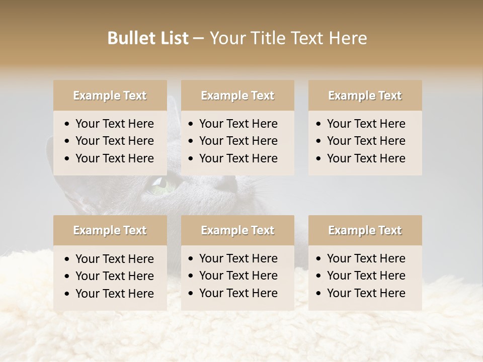 Cute Whiskers Lying PowerPoint Template