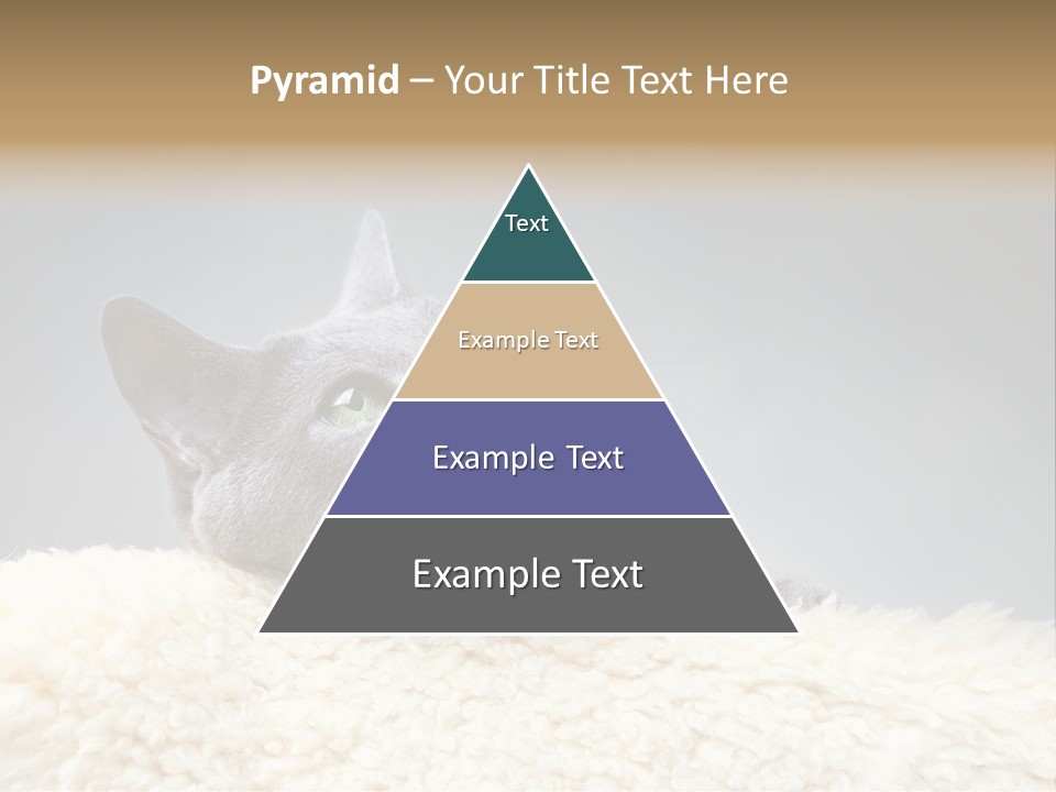 Cute Whiskers Lying PowerPoint Template