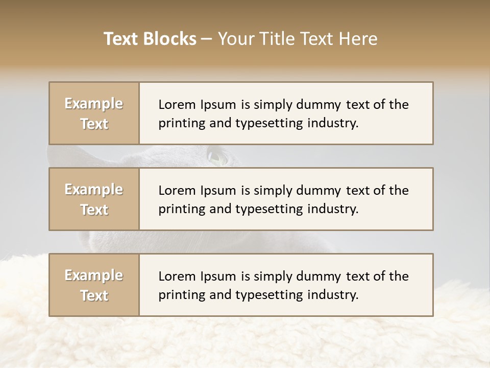 Cute Whiskers Lying PowerPoint Template