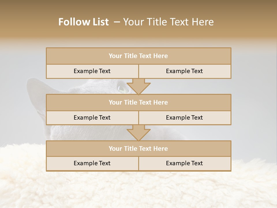 Cute Whiskers Lying PowerPoint Template