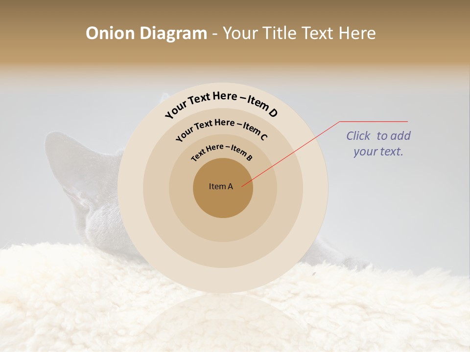 Cute Whiskers Lying PowerPoint Template