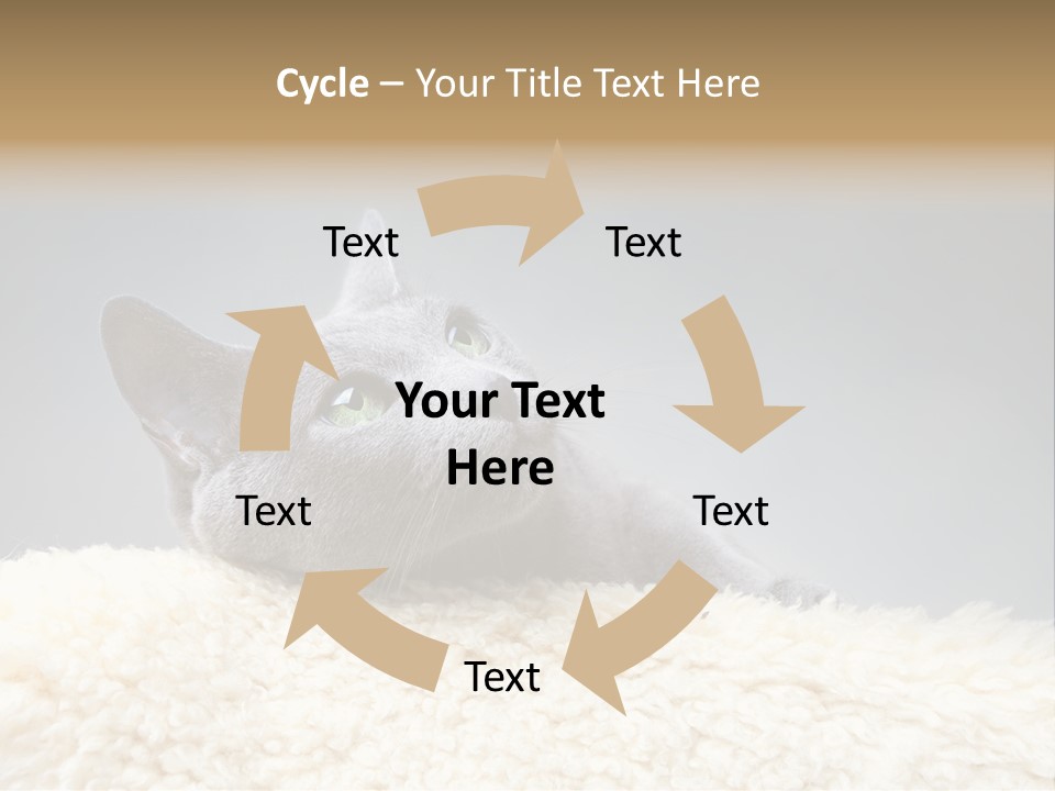 Cute Whiskers Lying PowerPoint Template