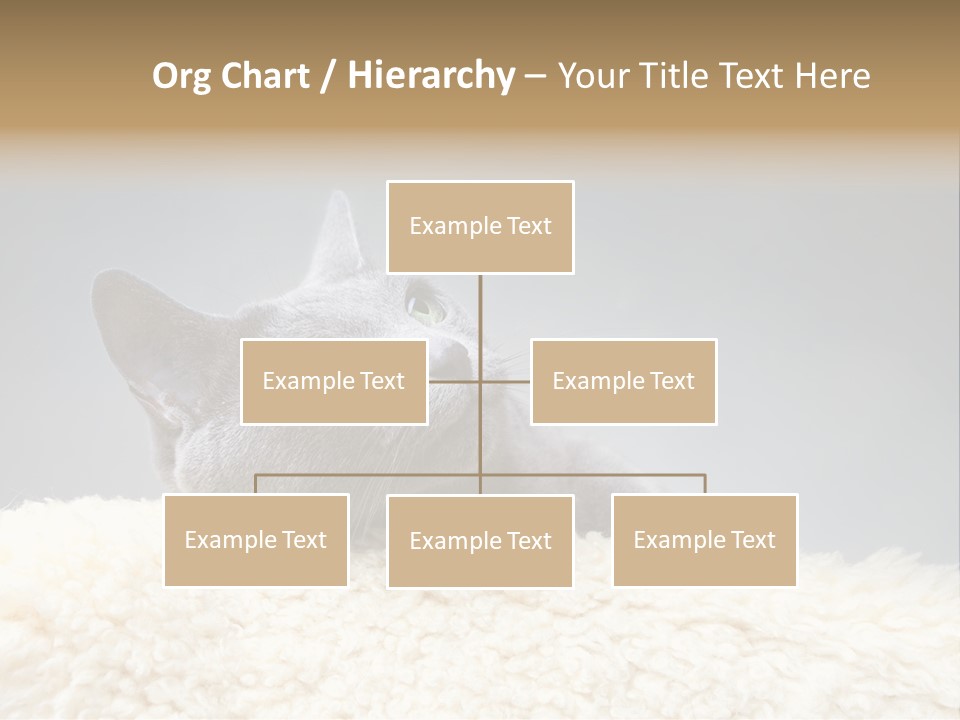 Cute Whiskers Lying PowerPoint Template