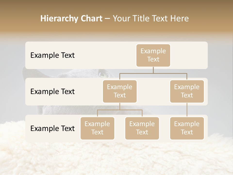 Cute Whiskers Lying PowerPoint Template
