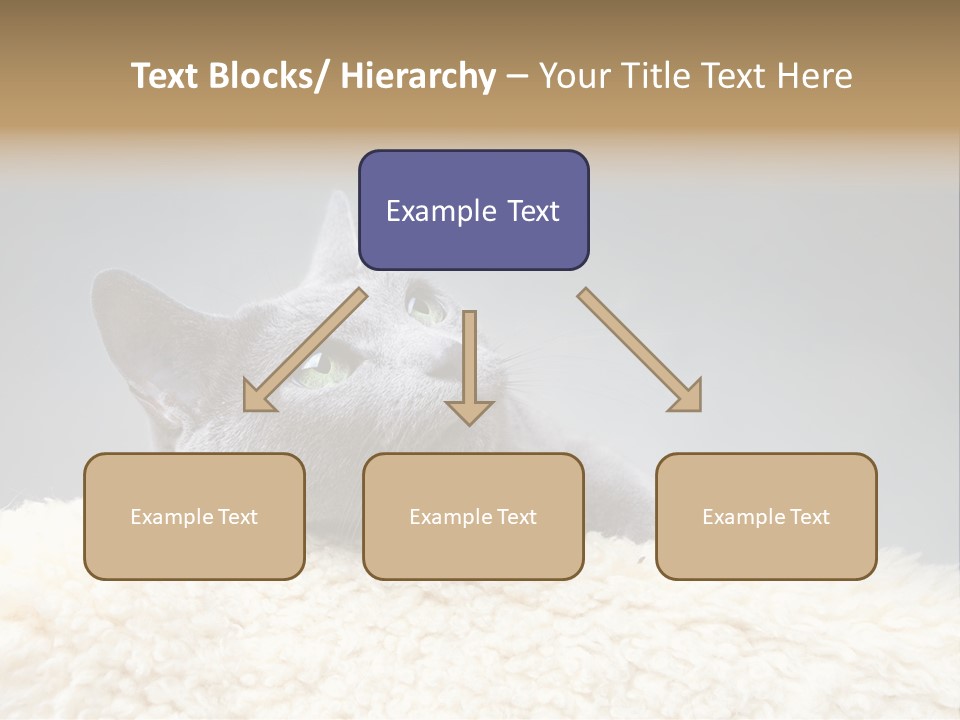 Cute Whiskers Lying PowerPoint Template