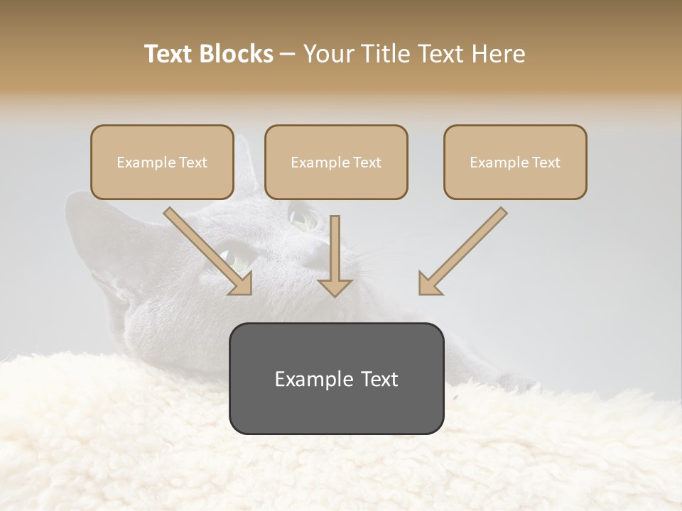 Cute Whiskers Lying PowerPoint Template