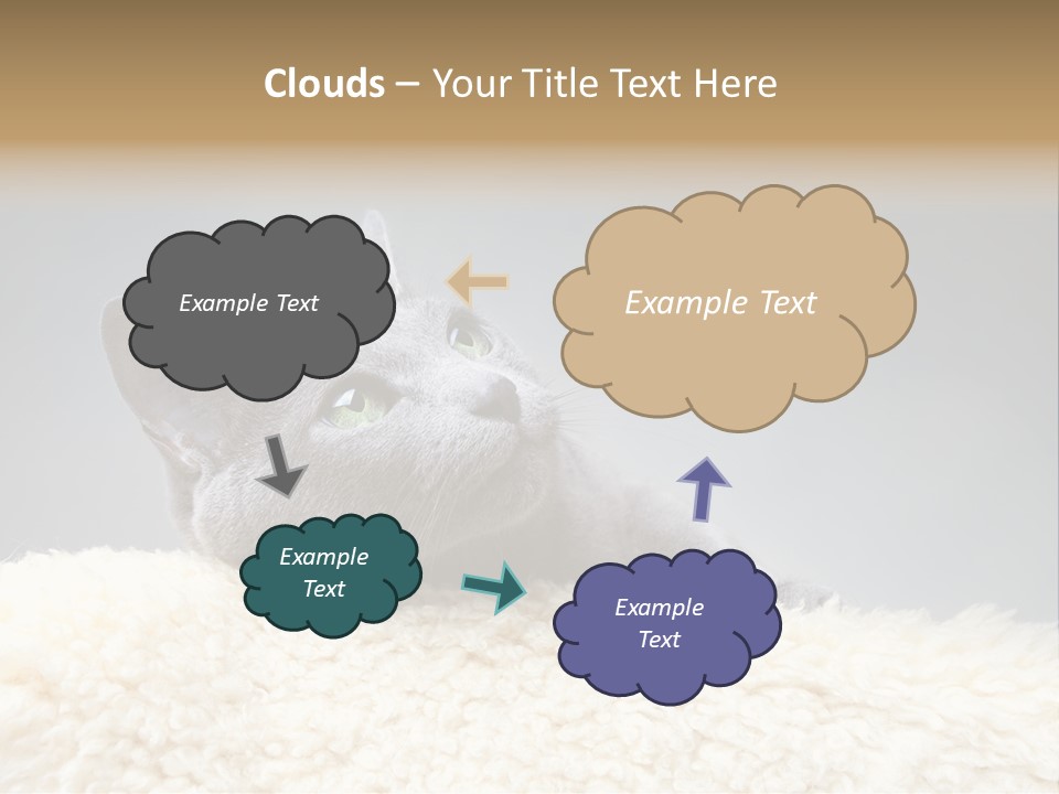 Cute Whiskers Lying PowerPoint Template