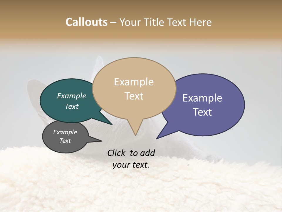 Cute Whiskers Lying PowerPoint Template