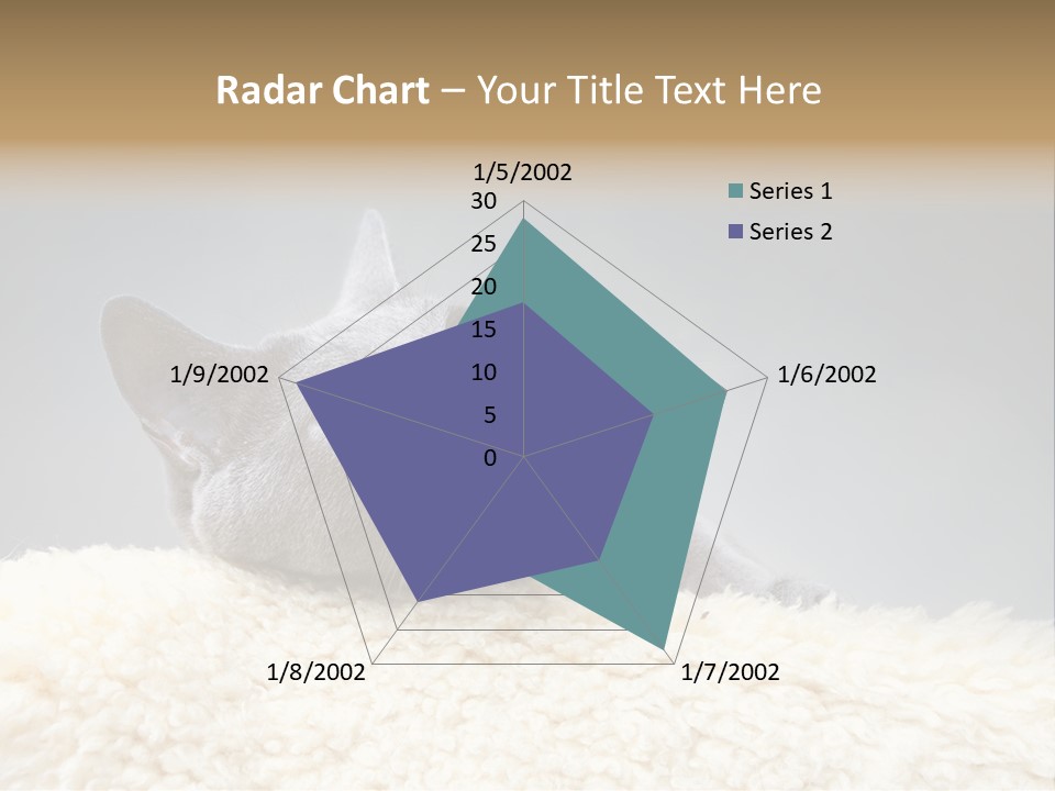 Cute Whiskers Lying PowerPoint Template