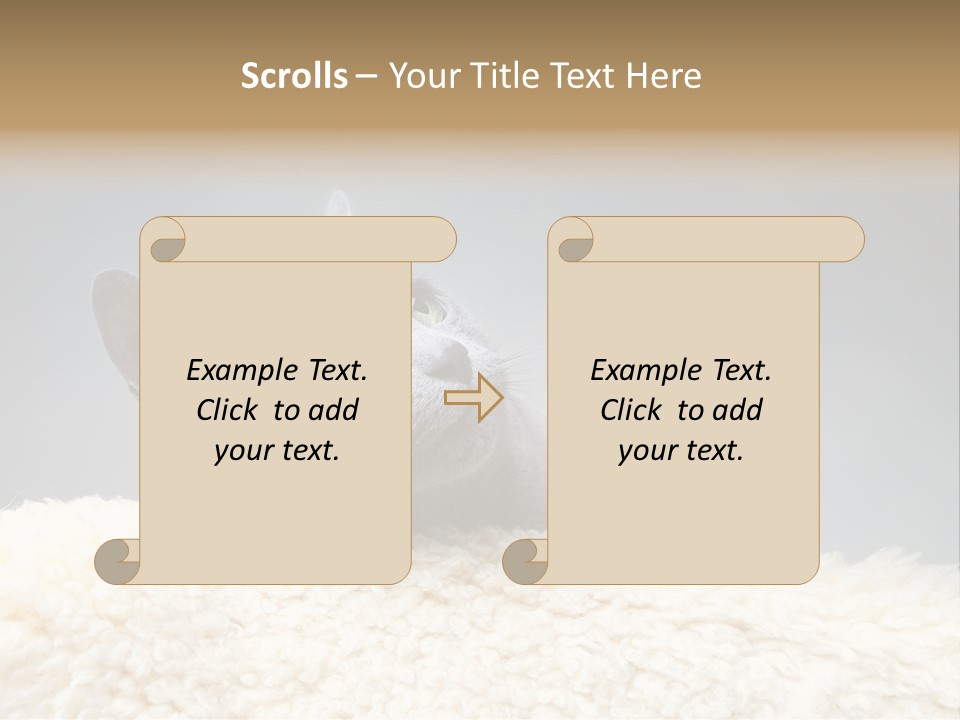 Cute Whiskers Lying PowerPoint Template
