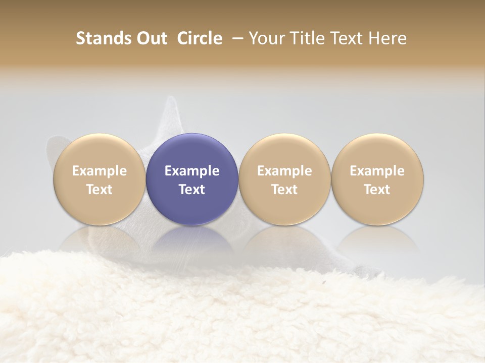 Cute Whiskers Lying PowerPoint Template