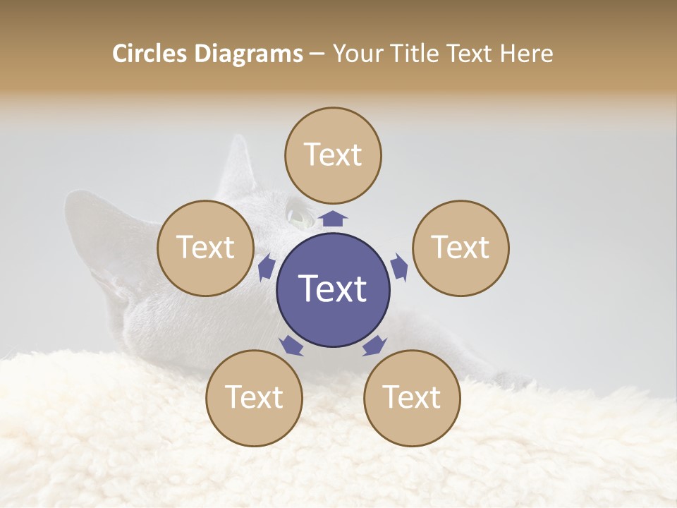 Cute Whiskers Lying PowerPoint Template