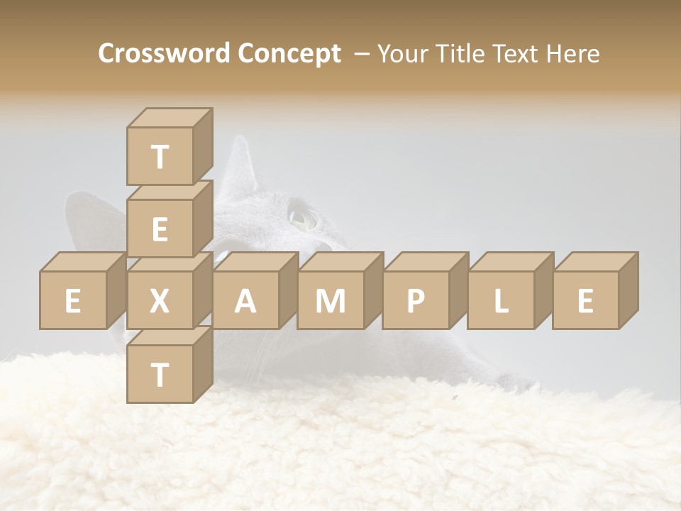 Cute Whiskers Lying PowerPoint Template