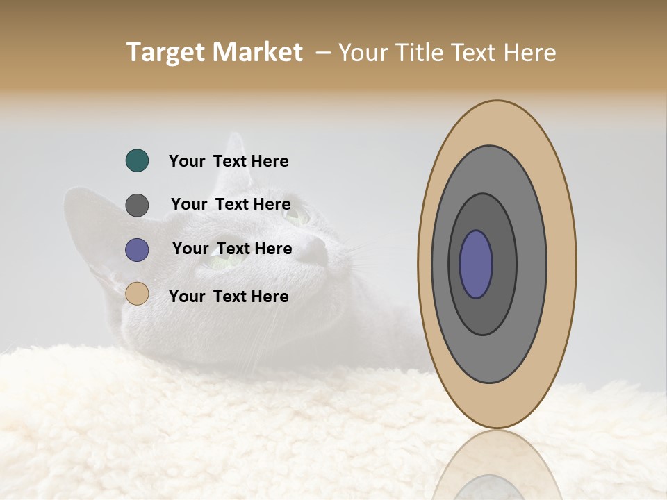 Cute Whiskers Lying PowerPoint Template