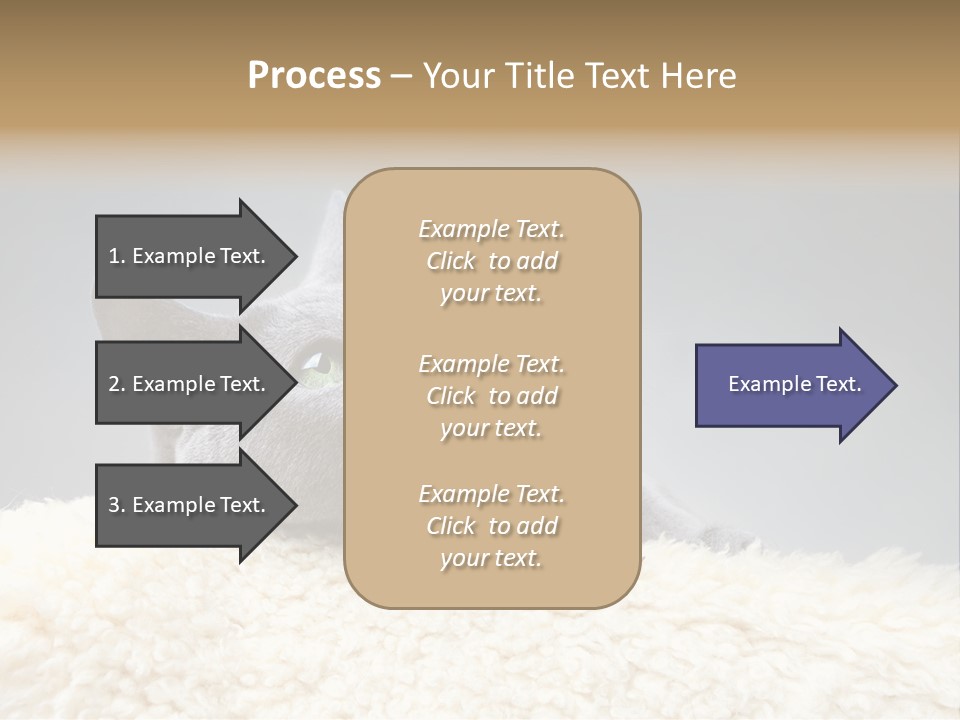 Cute Whiskers Lying PowerPoint Template