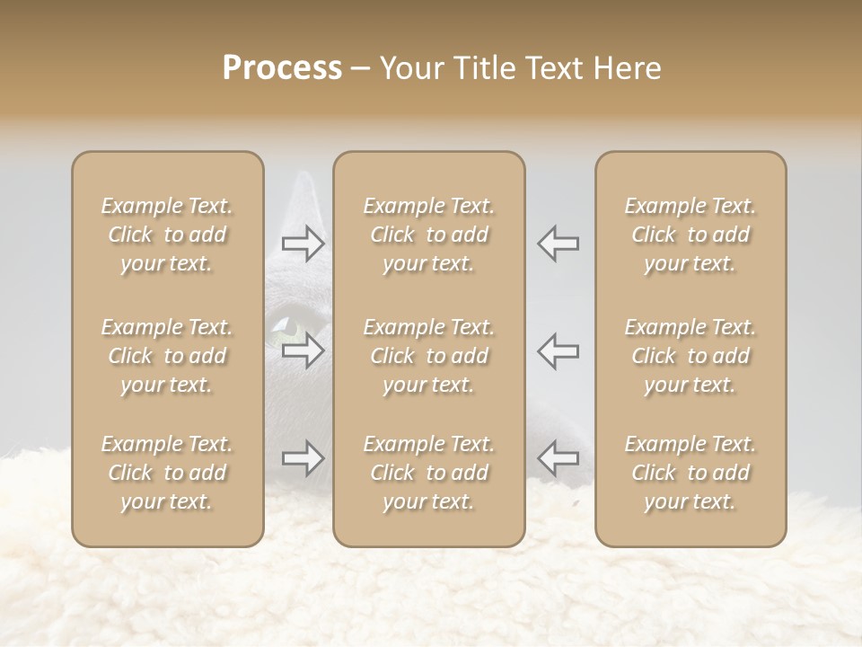 Cute Whiskers Lying PowerPoint Template
