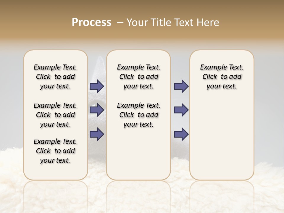 Cute Whiskers Lying PowerPoint Template