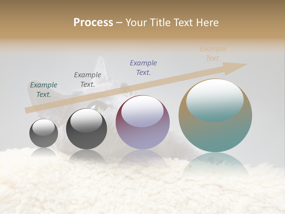 Cute Whiskers Lying PowerPoint Template