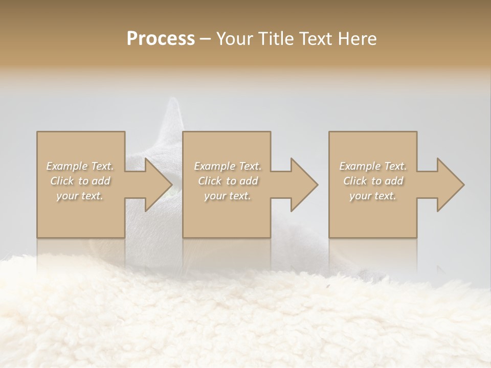 Cute Whiskers Lying PowerPoint Template