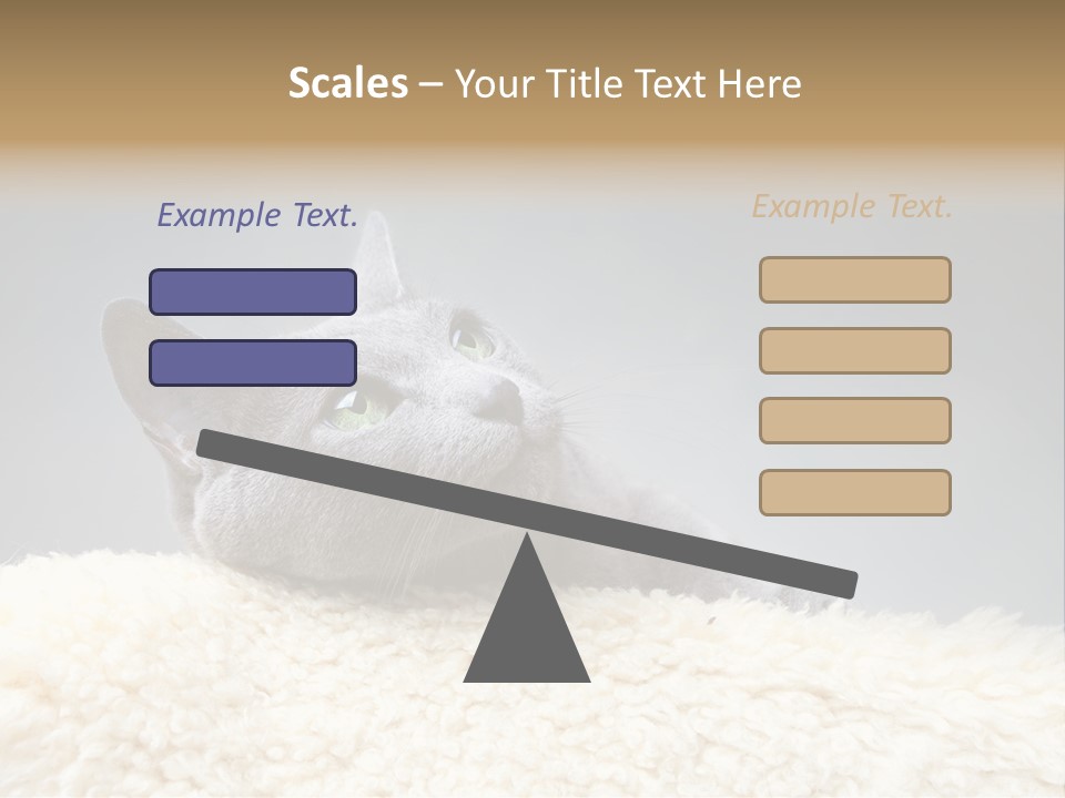 Cute Whiskers Lying PowerPoint Template