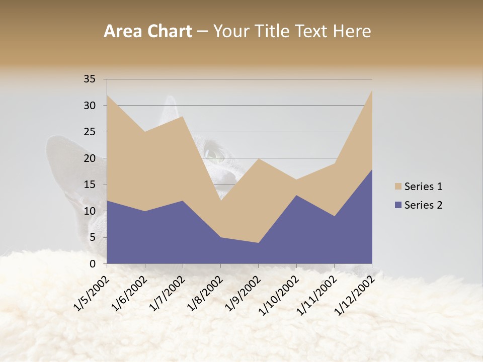 Cute Whiskers Lying PowerPoint Template