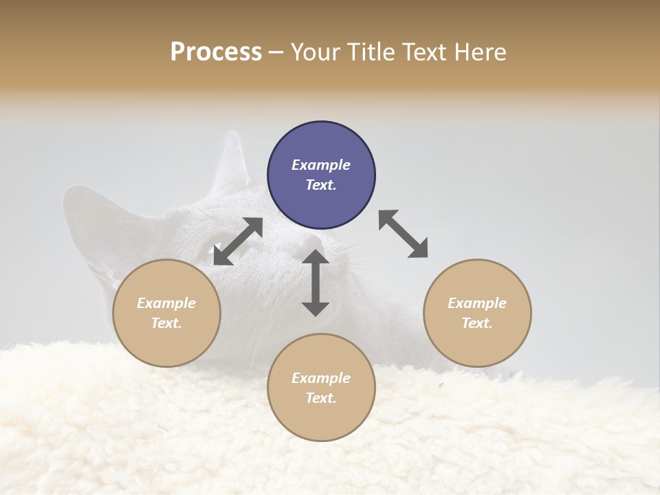 Cute Whiskers Lying PowerPoint Template