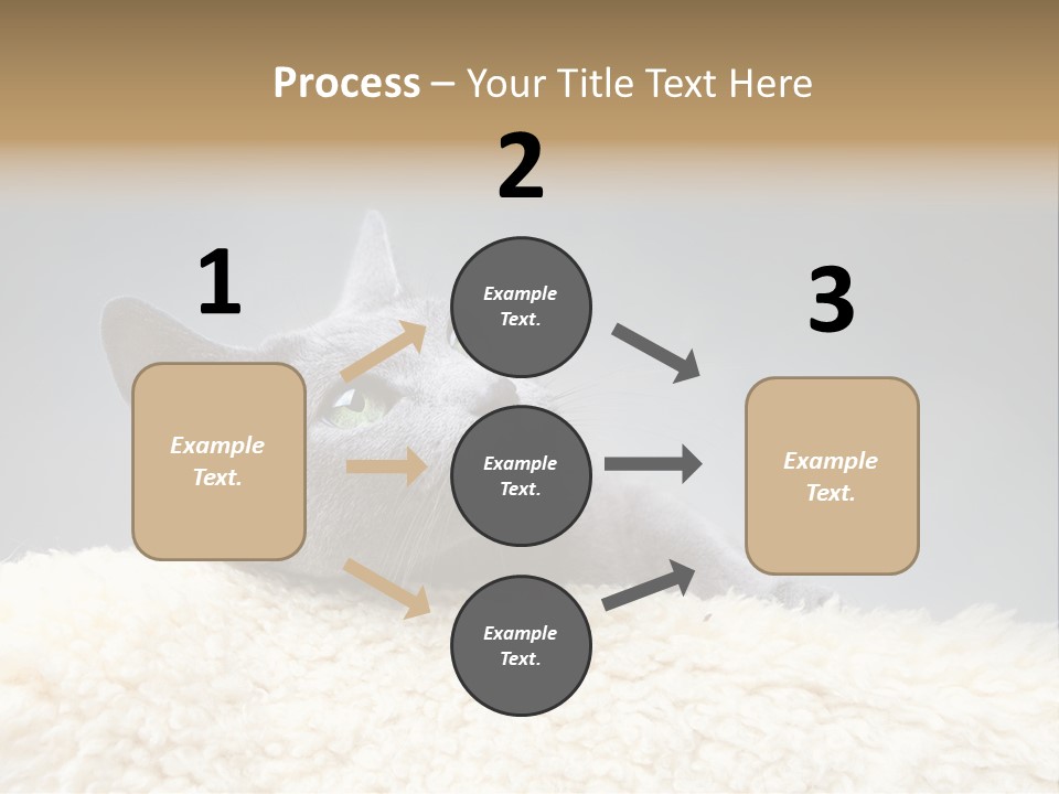 Cute Whiskers Lying PowerPoint Template