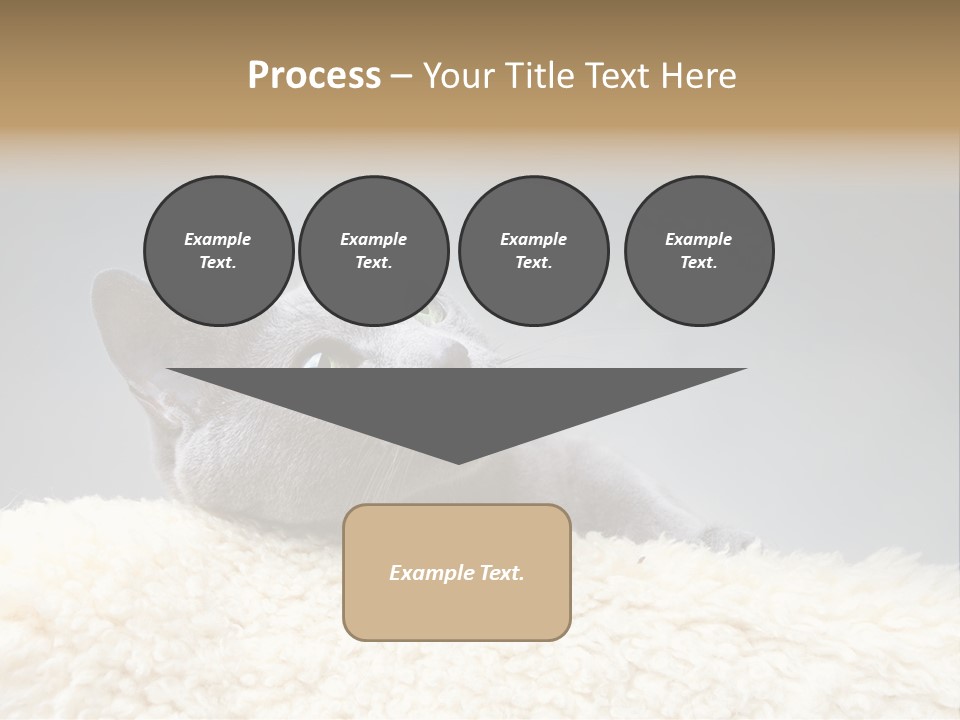 Cute Whiskers Lying PowerPoint Template