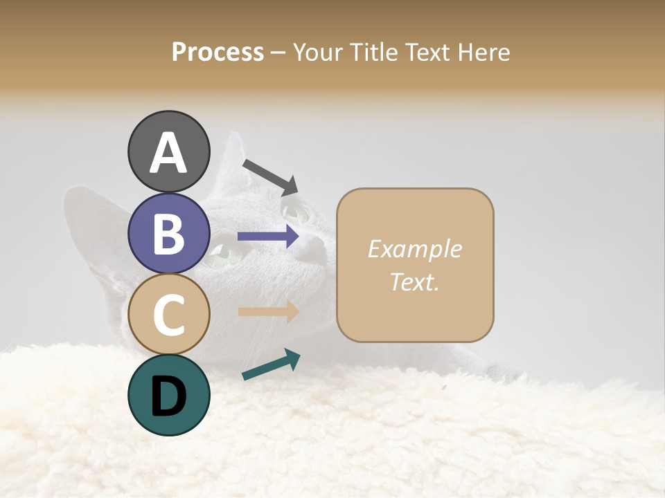 Cute Whiskers Lying PowerPoint Template