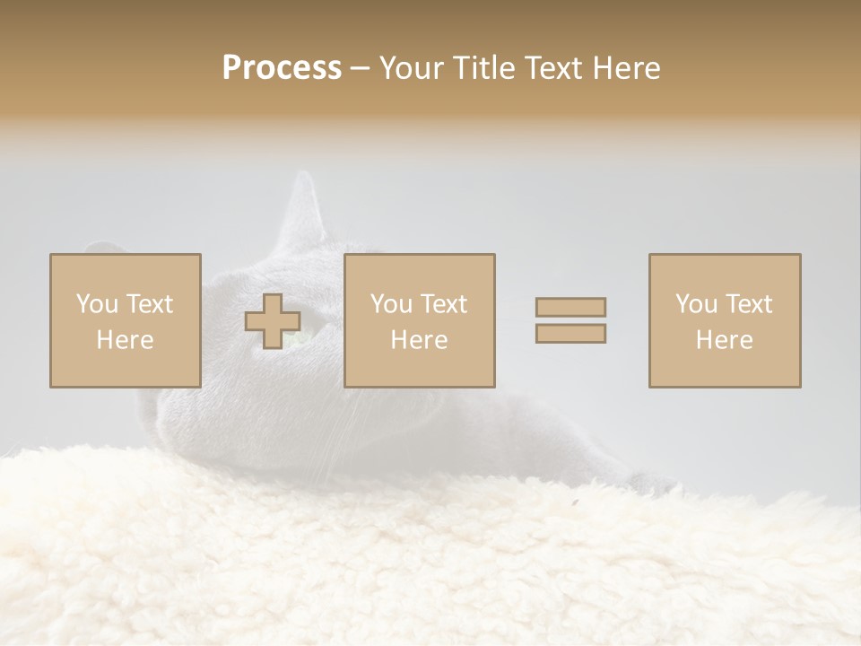 Cute Whiskers Lying PowerPoint Template